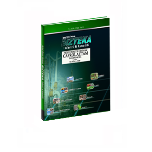 Prospek Industri dan Pasar CAPROLACTAM Di Indonesia